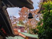 廣東新年何處去，紅葉首選圭峰山
