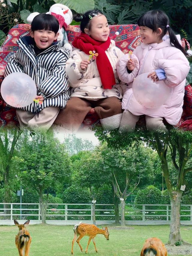 我宣布，這是成都最好玩的兒童森林公園