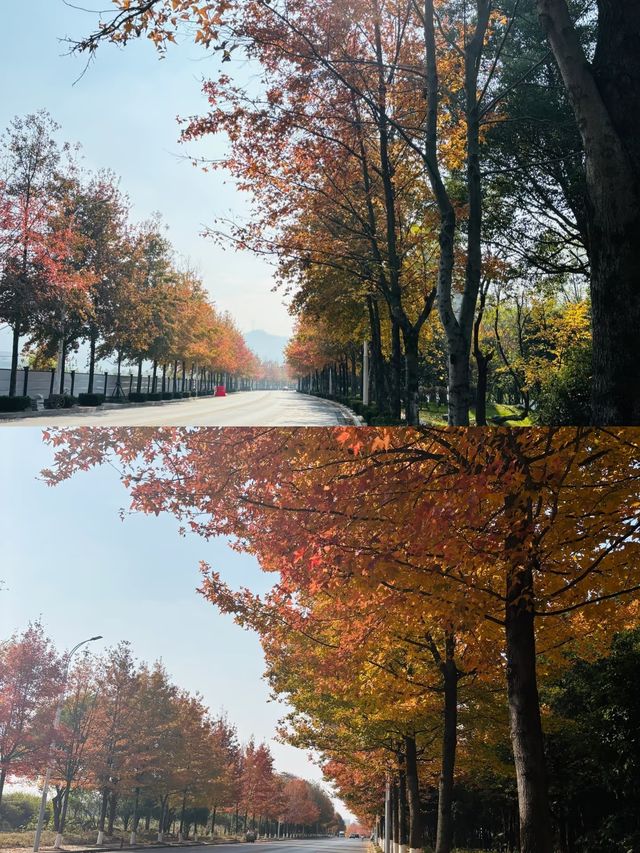 咸寧旅遊，不看這個攻略虧大啦！