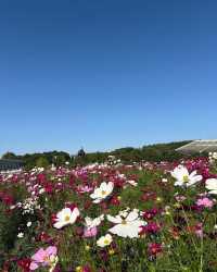 "未來與自然交織：愛・地球博紀念公園的綠色奇蹟" 