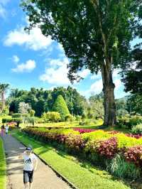 Exploring the Royal Botanic Gardens in Kandy, Sri Lanka