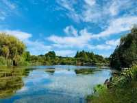 Auckland Botanic Gardens: A Scenic Escape