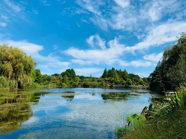 Auckland Botanic Gardens: A Scenic Escape