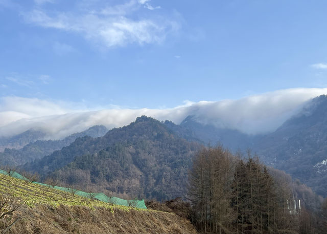 探秘雲中嶺，邂逅人間仙境