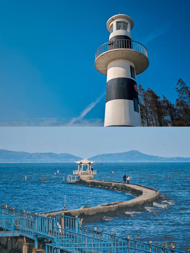 上海自駕1.5h，春節鬆弛感寶藏民宿