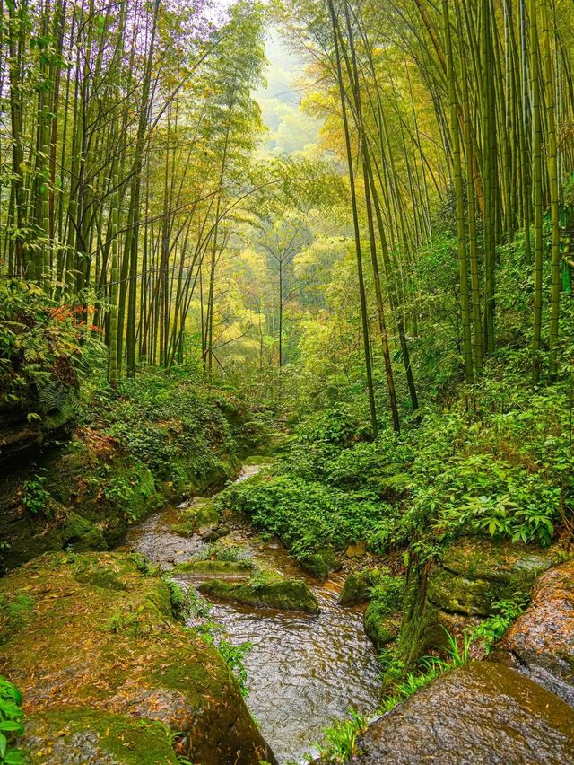 春節反向旅遊宜賓被嚴重低估的徒步秘境！