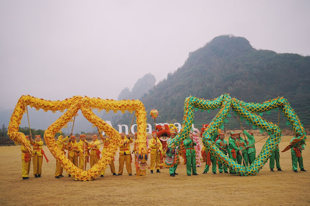 醒獅賀歲 體驗非遺文化的浪漫