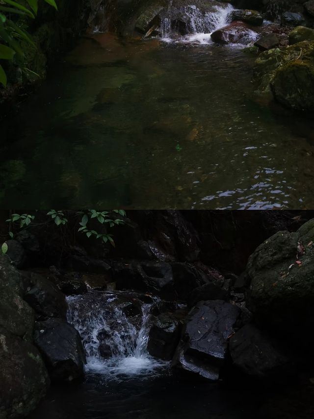 穿越百崖大峽谷，感受廣西的壯麗風光！