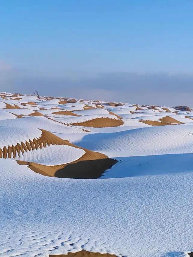 Baotou to Xilamuren Grassland 2-Day Tour Guide