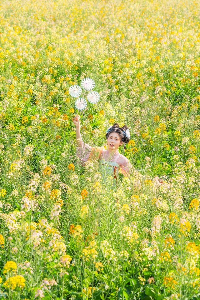廣州油菜花海
