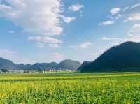 羅平油菜花海 | 金色海洋中的春日童話🫧