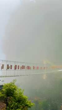 "大瑤山盤王界：這裡的雲海和佛光，真的能讓你震撼嗎？"