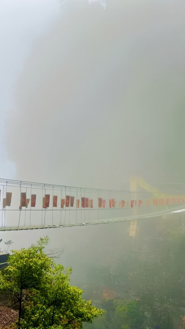 "大瑤山盤王界：這裡的雲海和佛光，真的能讓你震撼嗎？"