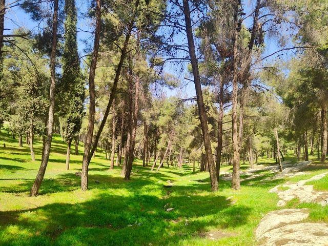 Discovering Amman National Park: A Peaceful Escape in the City🌳🌴