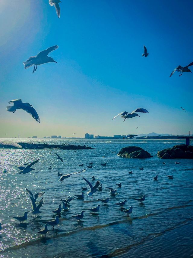 秦皇島半日遊