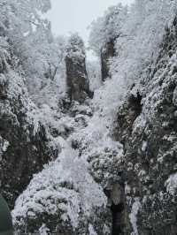 驚爆！龍頭山的美景，竟讓遊客不願返程