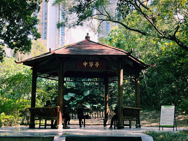 深圳南山區著名景點：中山公園，適合拍照打卡觀光旅遊。 