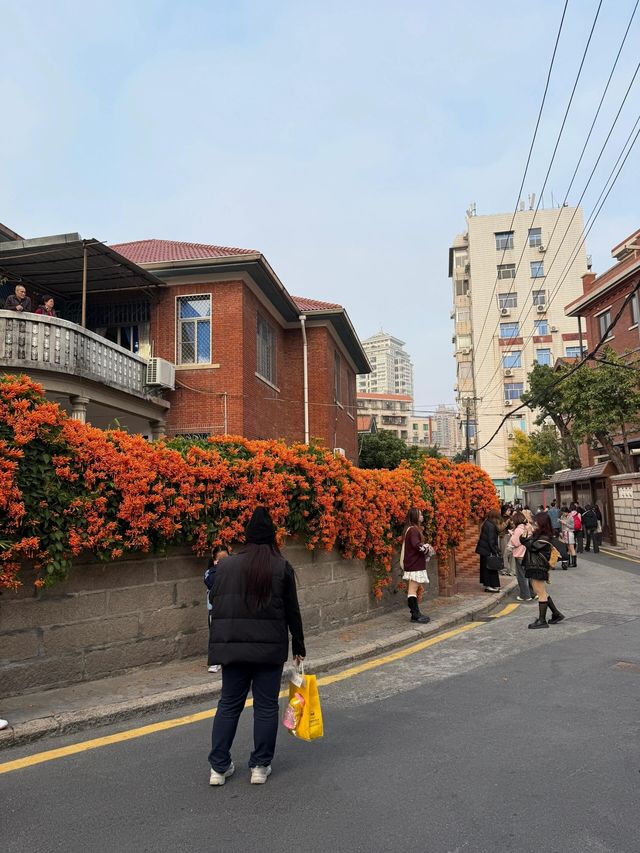 別再擠中山路！廈門這條隱秘小路，美食與浪漫並存