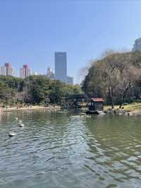 週末好去處｜徐家匯公園