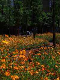 《魅力天璟公園》