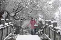 春雪銀裝素裹，宛如畫卷。