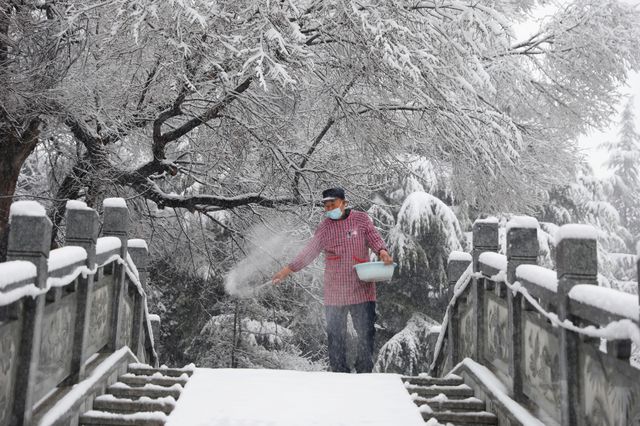 春雪銀裝素裹，宛如畫卷。