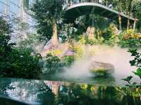 上海溫室花園🪴