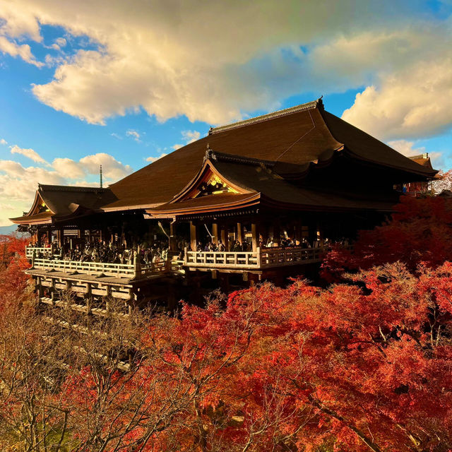 🍁京都楓葉物語 | 一場關於秋天的浪漫邂逅