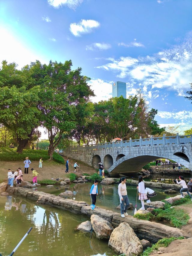 深圳最適合帶小朋友捉魚釣魚的公園
