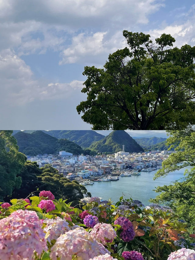 以為雲南只有夏季先好睇，點知 3 - 4 月靚到爆😍