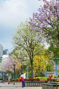 美哭！沒有哪個公園能比它更懂拿捏春和景明了