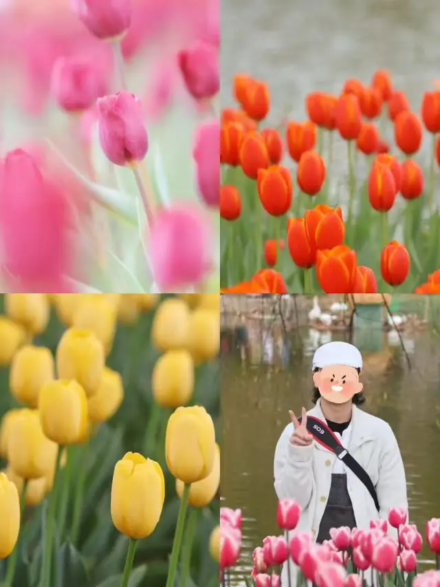 Come to Kunming and Unleash Your Wild Side | A Joyful Spring Outdoor Adventure.