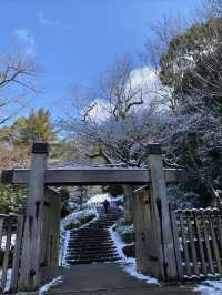 大雪紛飛金華山