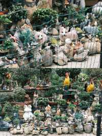 6天暢遊廈門-漳州 這些地方不容錯過必收藏