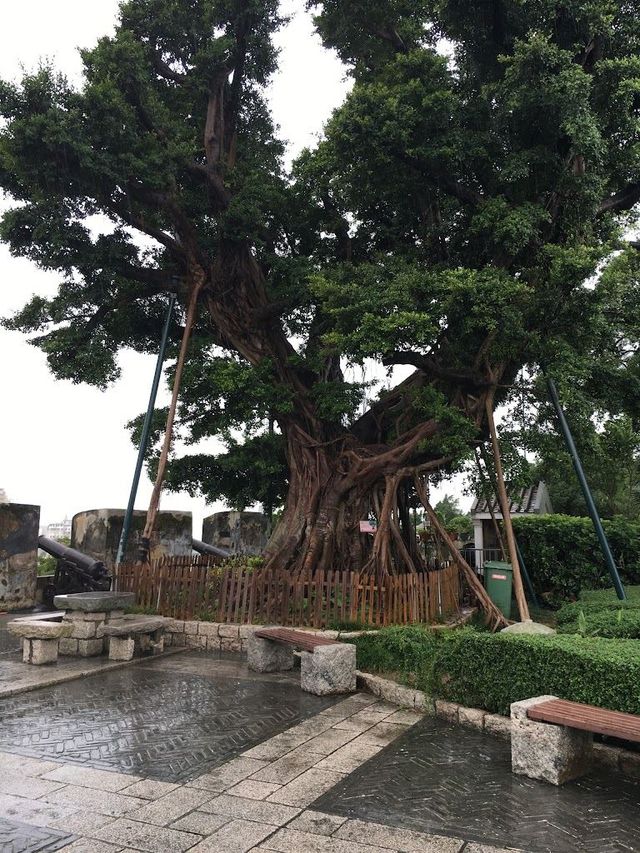 港澳Citywalk秘笈探索雙城魅力不打烊
