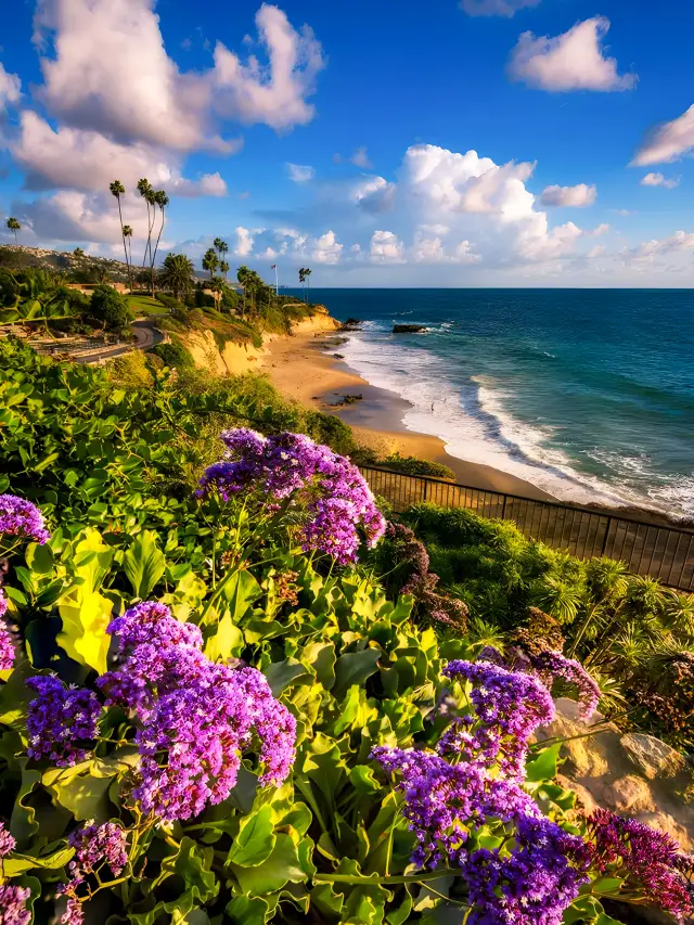 Top 10 Must-Visit Scenic Spots in San Diego Before You Leave