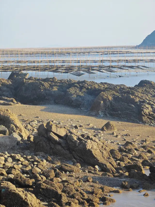 샤푸 민박 피뢰침‖믿고 가는 갓성비 민박