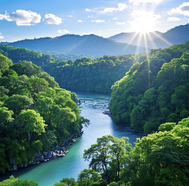 考艾國家公園：孔敬嘅自然探索之旅