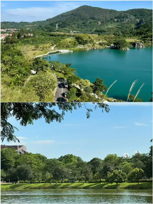 東莞玩了4天已回｜說說難聽大實話