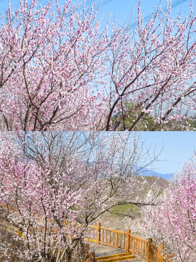 北京超美小眾登山步道，衝鴨