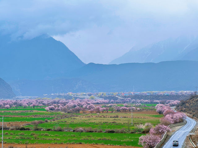 波密旅行 | 住進如家！！！