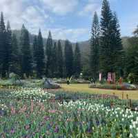 🌿【深圳仙湖植物園懶人攻略】✨