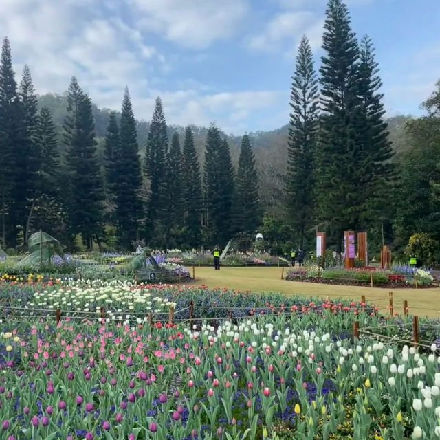 🌿【深圳仙湖植物園懶人攻略】✨