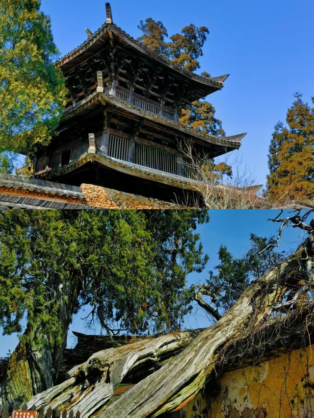 一眼越千年，這是我心中浙江最美的古建！