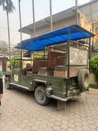 Safari in Chitwan