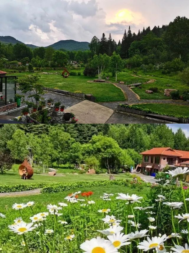 綠野尋芳·春遊白山，3條寶藏級春遊路線等你嚟