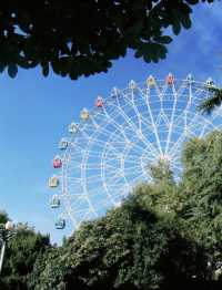 鄭州碧沙崗公園｜春日精選｜紫藤花海與百年歷史的浪漫邂逅