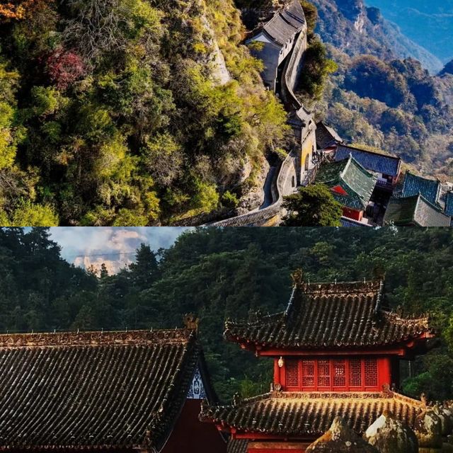 武當山已回 全是乾貨 建議收藏