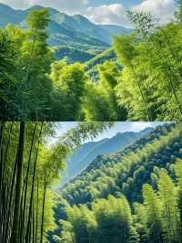 蜀南竹海——雲山竹海·天上人間