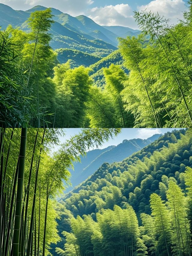蜀南竹海——雲山竹海·天上人間